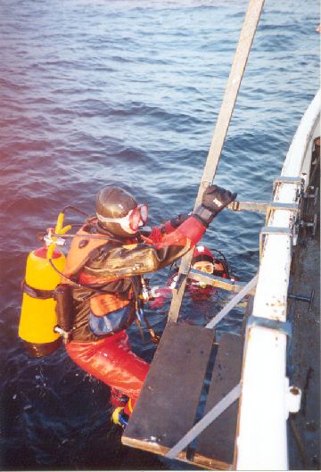 Returning after the dive. Returning after the dive.