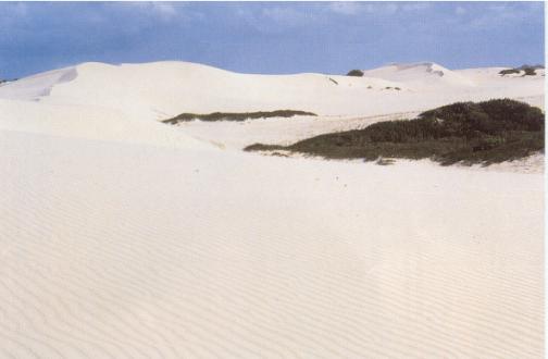 The beach where the survivors staggered ashore.