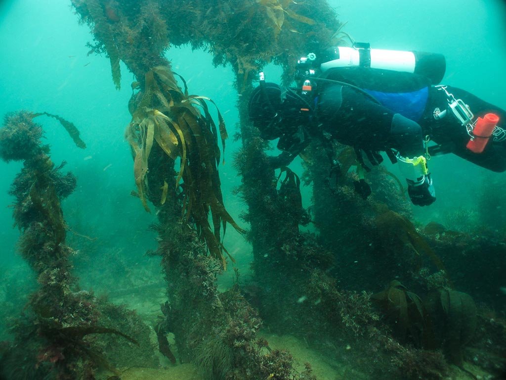 This wreck is great for photo's. Courtesy Dan Bolt.