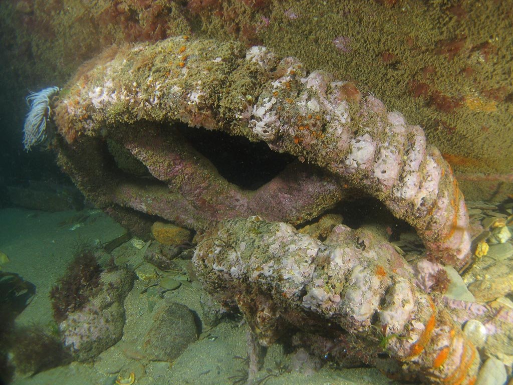 Part of a winch. Courtesy Dan Bolt. Part of a winch. Courtesy Dan Bolt.