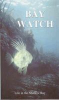 Bay Watch DVD