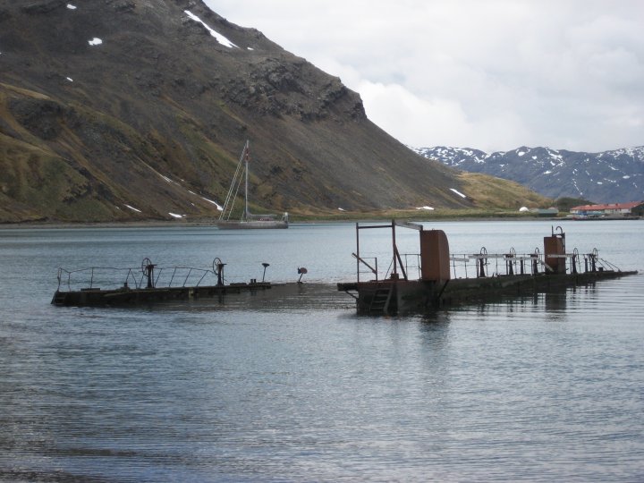 The Floating Dock.