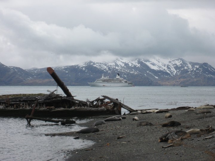 Looking out from the abandoned whaling station.