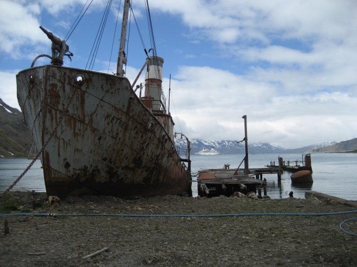 Petrel with part of the floating dock showing.