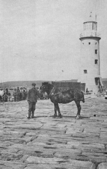 Horses were frequently used on the Breakwater.