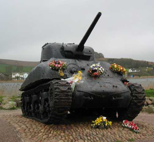 Flowers on Kens Tank.