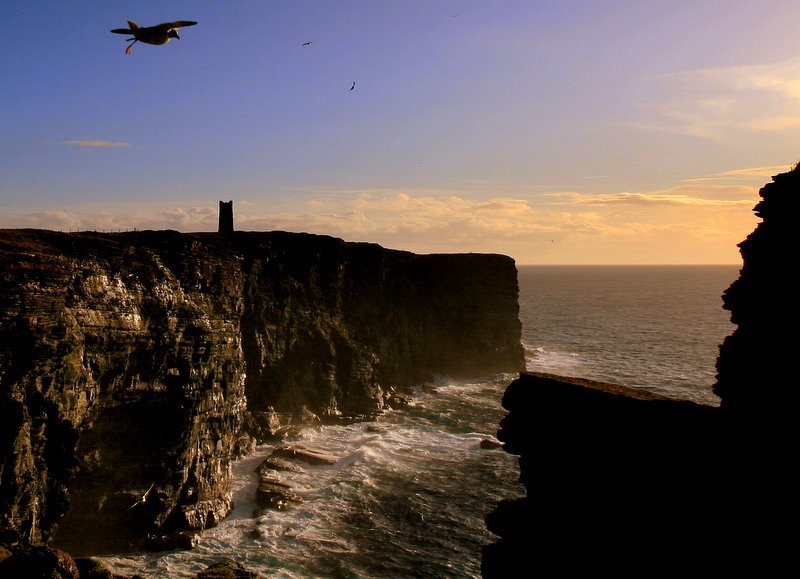 A great shot of the Tower. Photo by John Findlay.