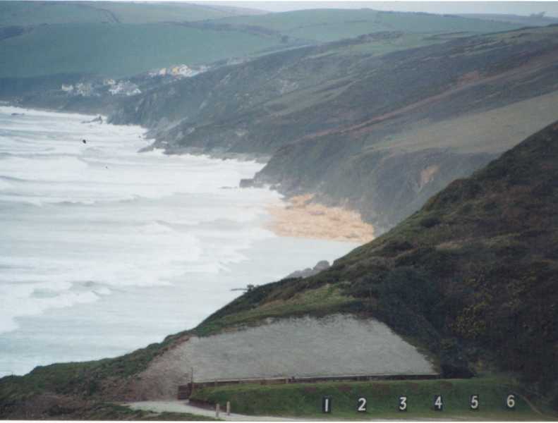 The Beaches were full of timber.