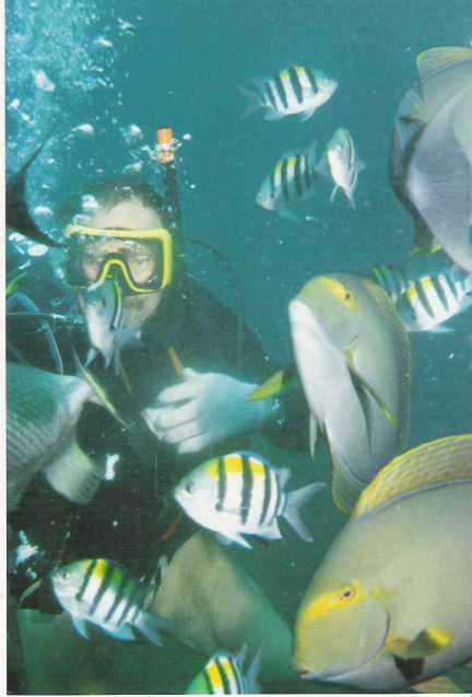 The divers are mobbed by fish.