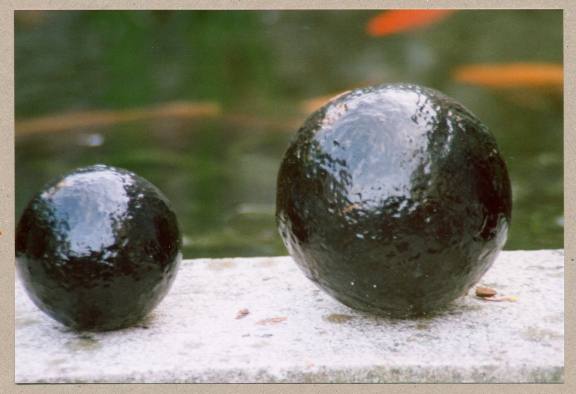 Cleaned up solid round shot. Probably a 12lb and 32lb. Shot were measured by weight as a sphere will always contain the same amount of metal for a given diameter. A 32lb shot was approx 6.25 Cleaned up solid round shot. Probably a 12lb and 32lb. Shot were measured by weight as a sphere will always contain the same amount of metal for a given diameter. A 32lb shot was approx 6.25