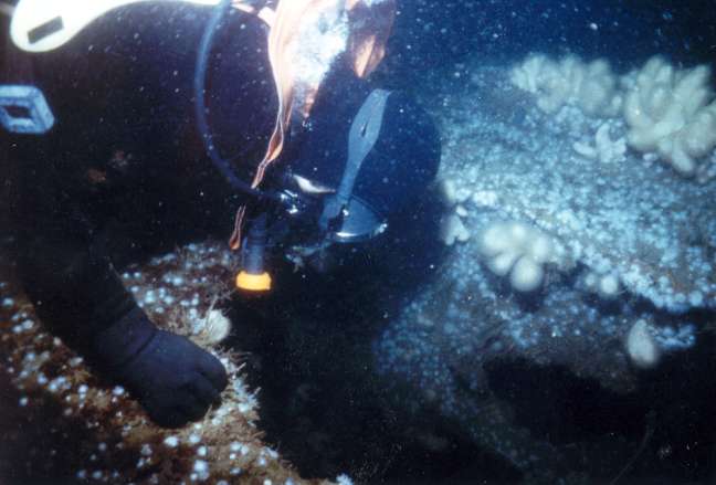 The holds are very dark. The holds are very dark.