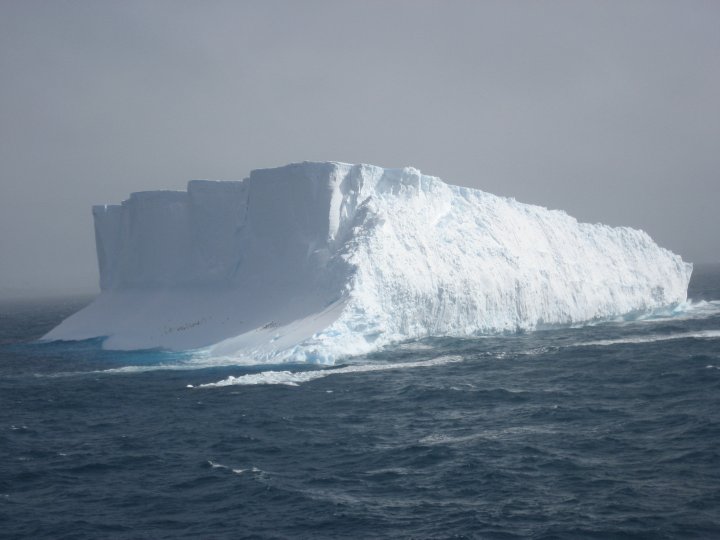 This was about four times bigger than the ship(still summer).