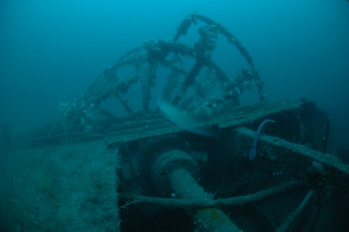 The conrods that powered the wheel. Photo Peter Rowlands. The conrods that powered the wheel. Photo Peter Rowlands.