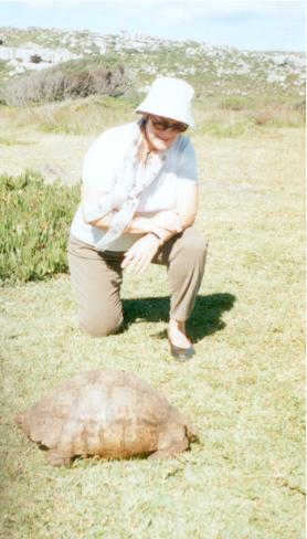 The Leopard Tortoise. The Leopard Tortoise.