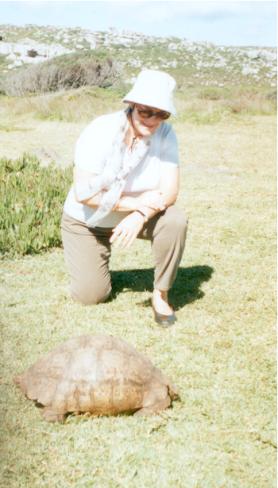 The Leopard Tortoise.